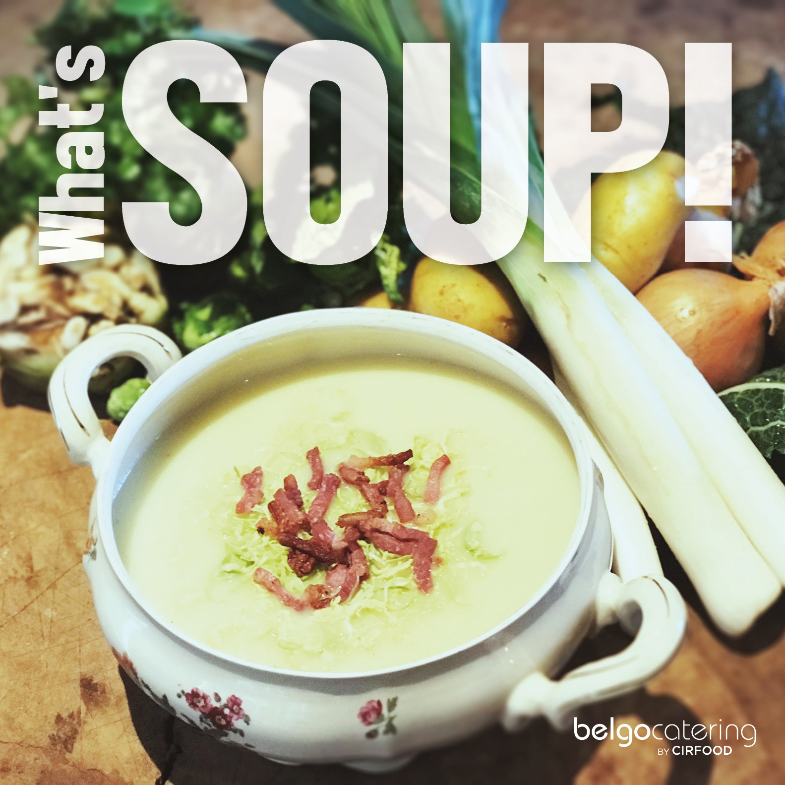 What's SOUP!