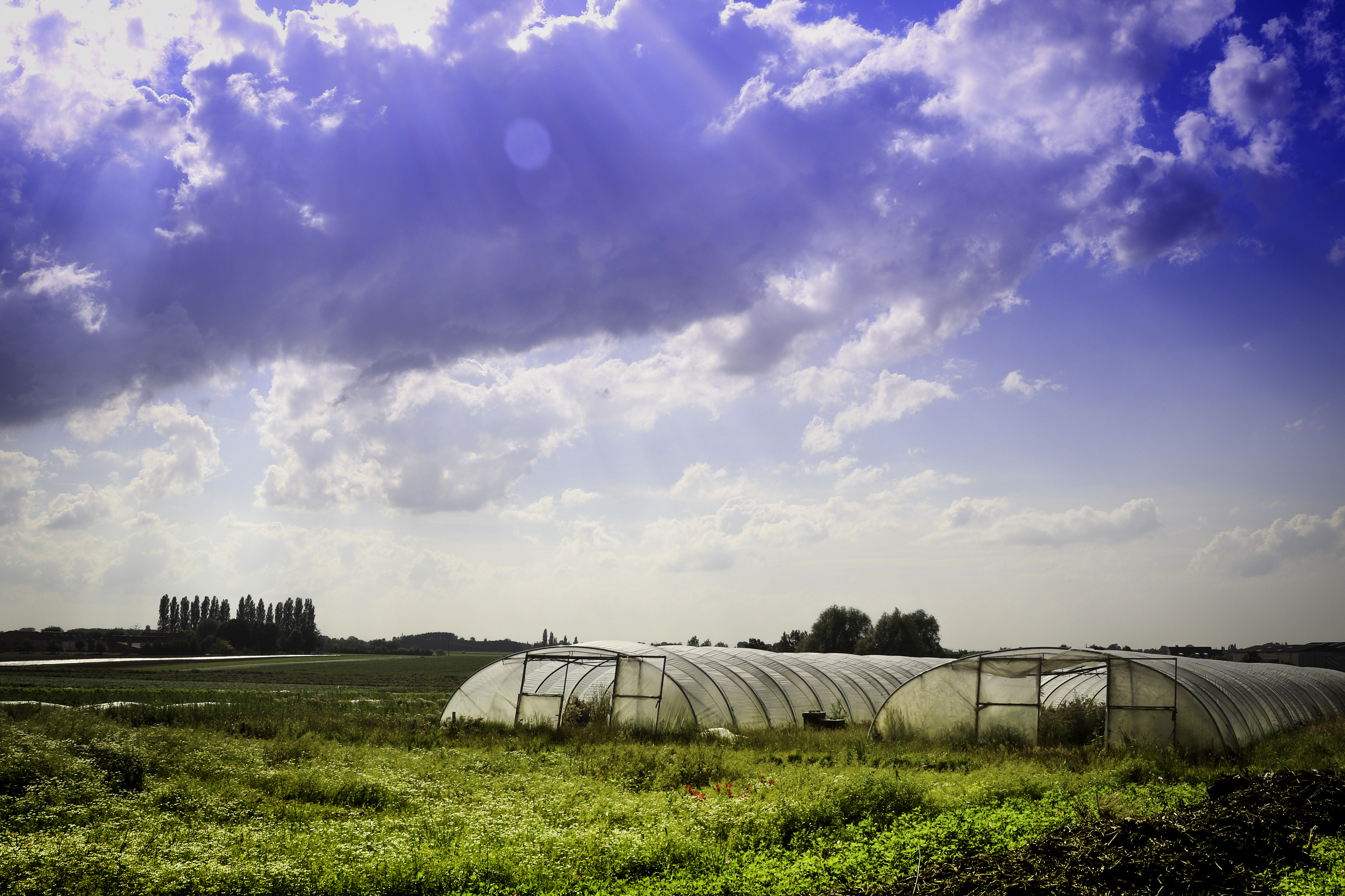 Sustainability as a mindset